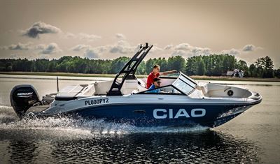Sea Ray 210 SX